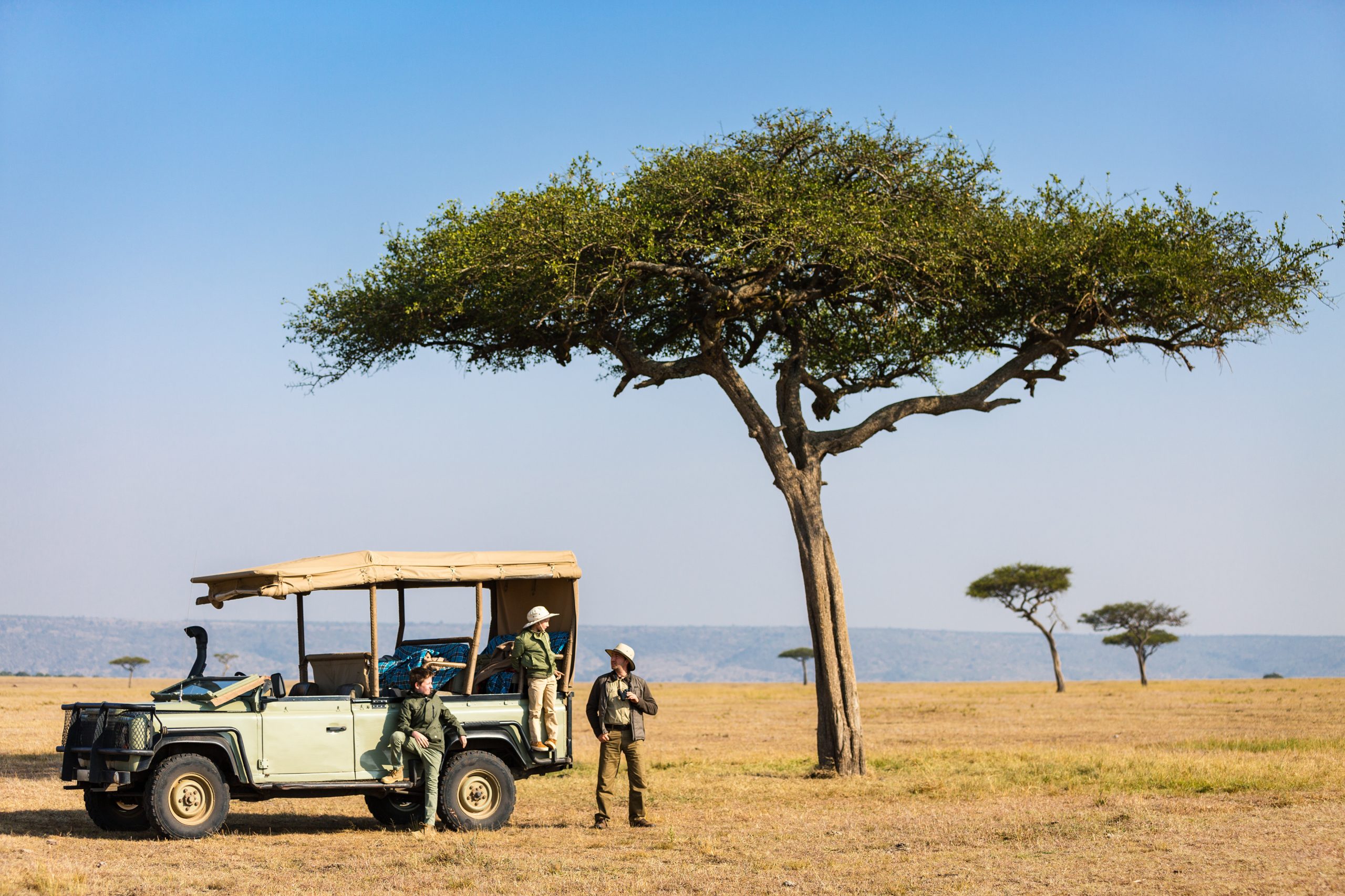Safari Safari